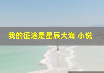 我的征途是星辰大海 小说